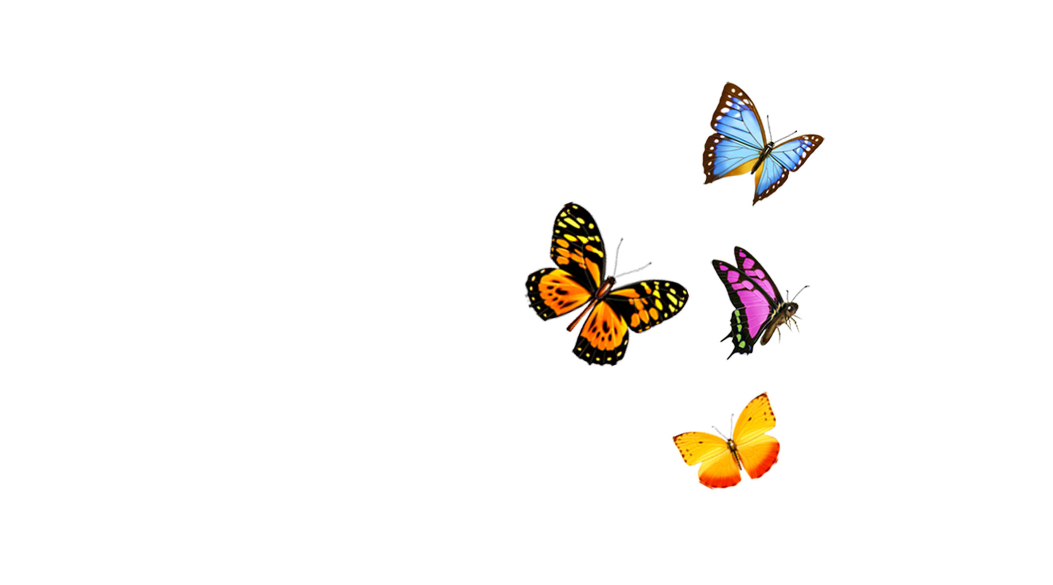 intro-image